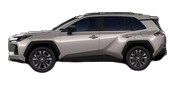 model image
